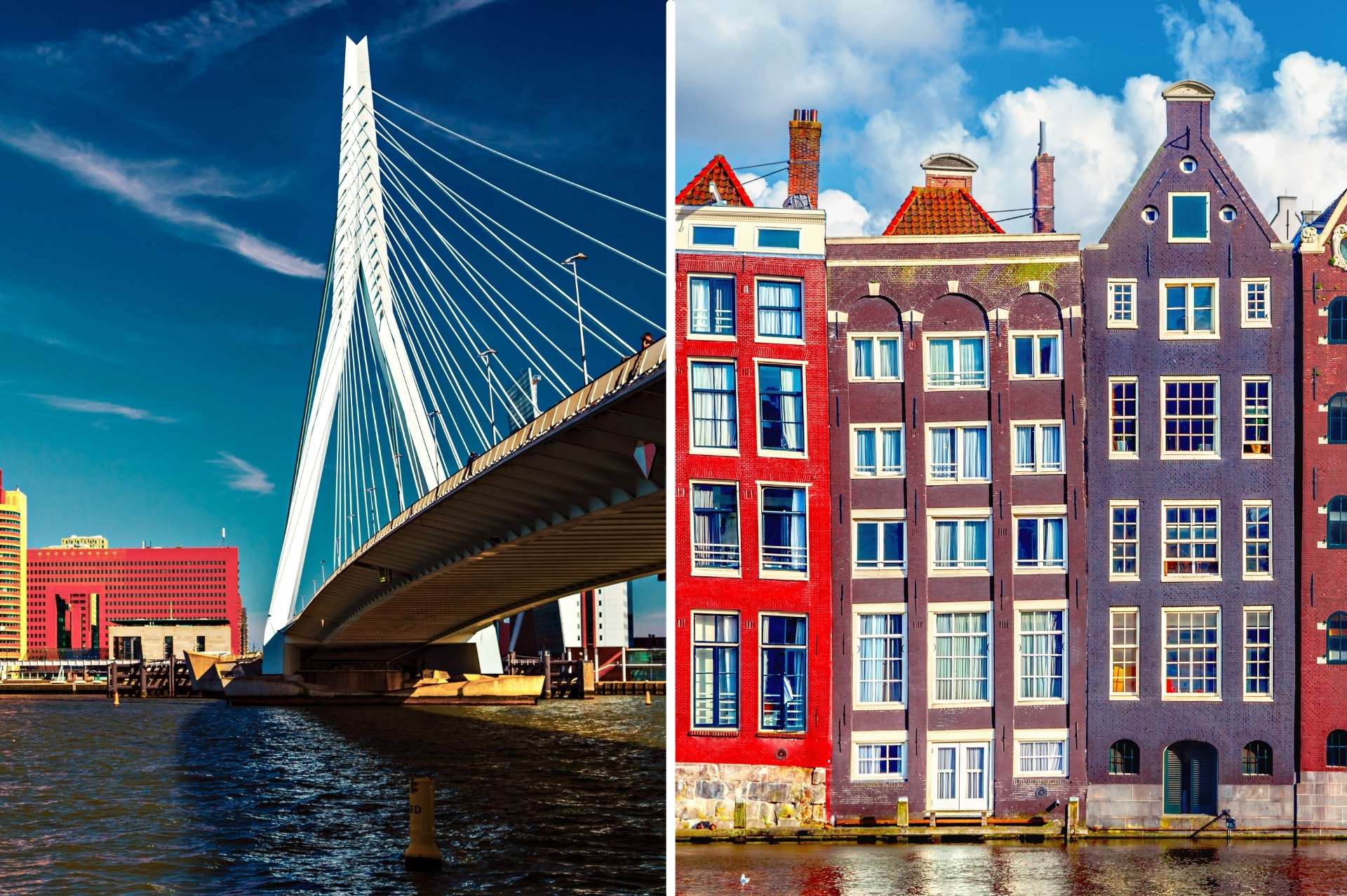 Gelijkenis Schatting Gietvorm De 5 verschillen tussen Rotterdam en Amsterdam - PREMIER SUITES Serviced  Apartments